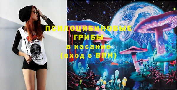 гашик Абаза
