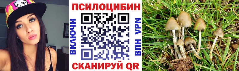 Галлюциногенные грибы мицелий Гагарин