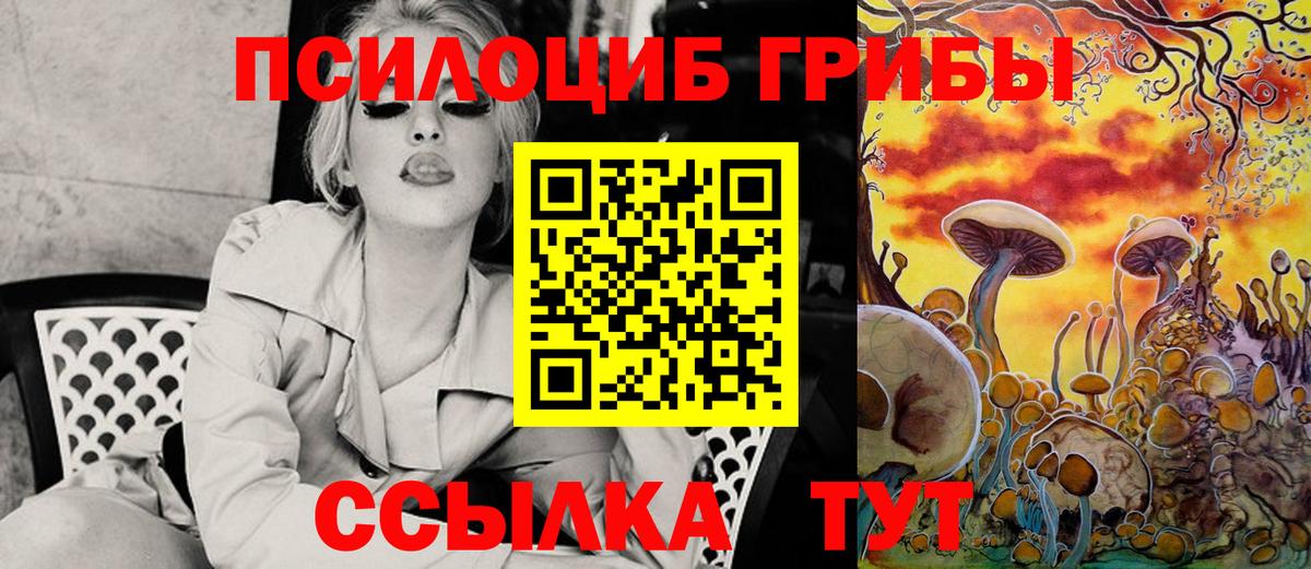 Псилоцибиновые грибы мицелий Гагарин
