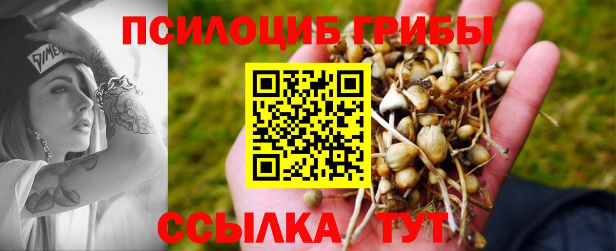 купить закладку  Псилоцибиновые грибы Psilocybine cubensis  Вход с VPN  Гагарин  Псилоцибиновые грибы прущие грибы 
